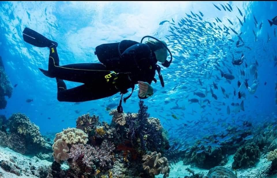Dreamcatcher Hostel Moalboal Εξωτερικό φωτογραφία